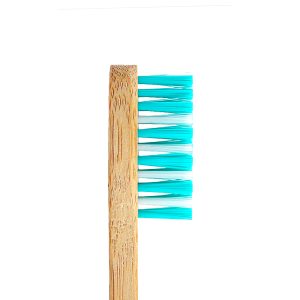 Bamboo Toothbrush – Standard – Green (Adult) Nylon Bristle